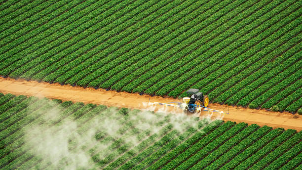 Pest Prevention Services in Berea, KY