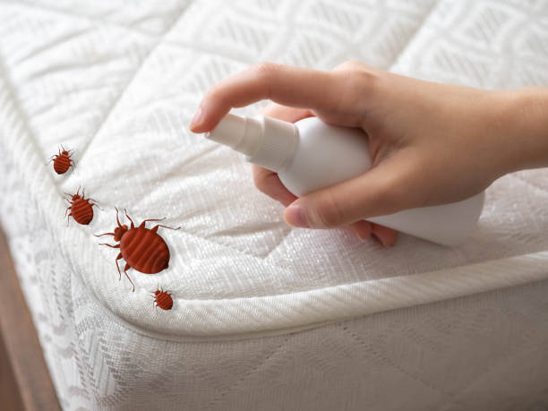Best Best Pest Control Companies  in Berea, KY